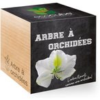 1 arbre € orchid€es