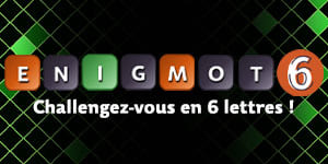 Enigmot 6